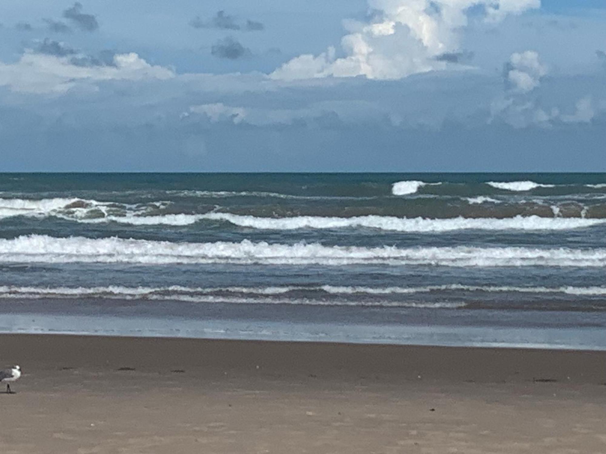 Jjs Beach Condo South Padre Island Extérieur photo